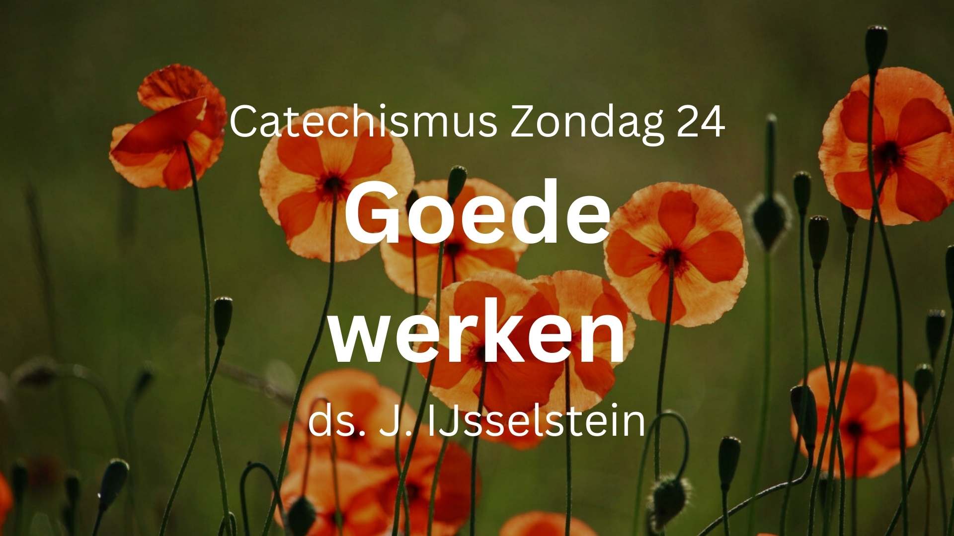 Catechismus Zondag 24 goede werken