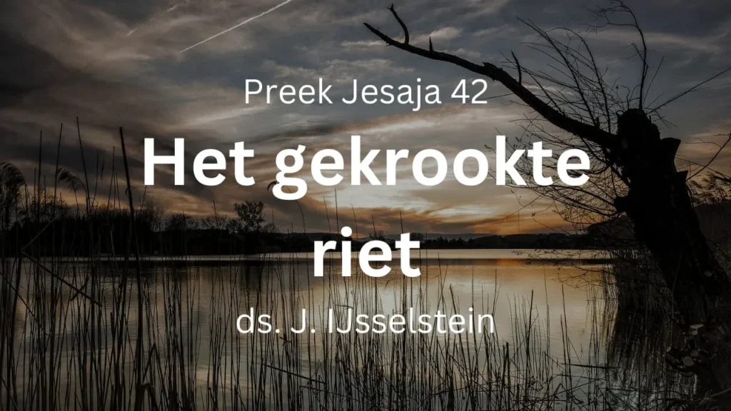 Gekrookte riet – Jesaja 42