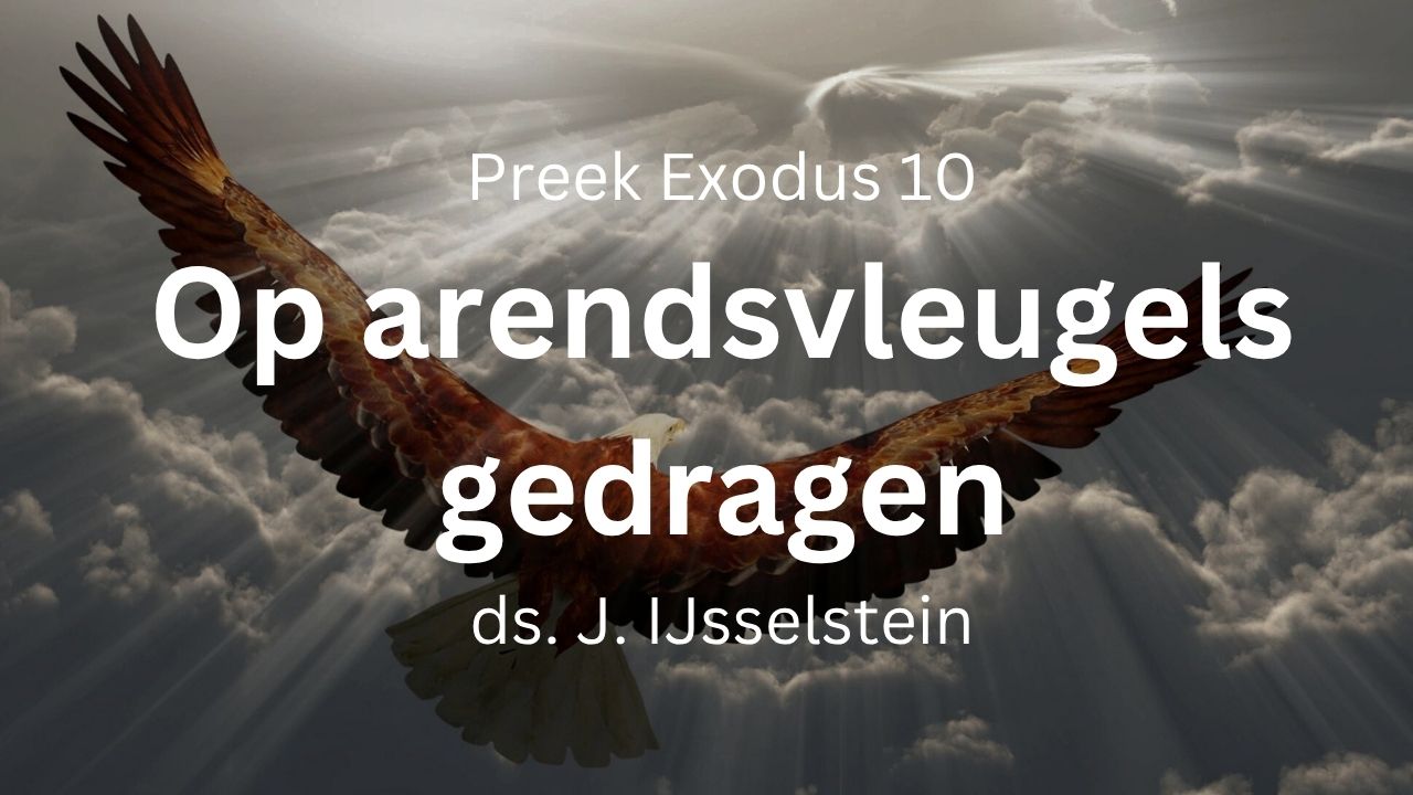 op arendsvleugels gedragen