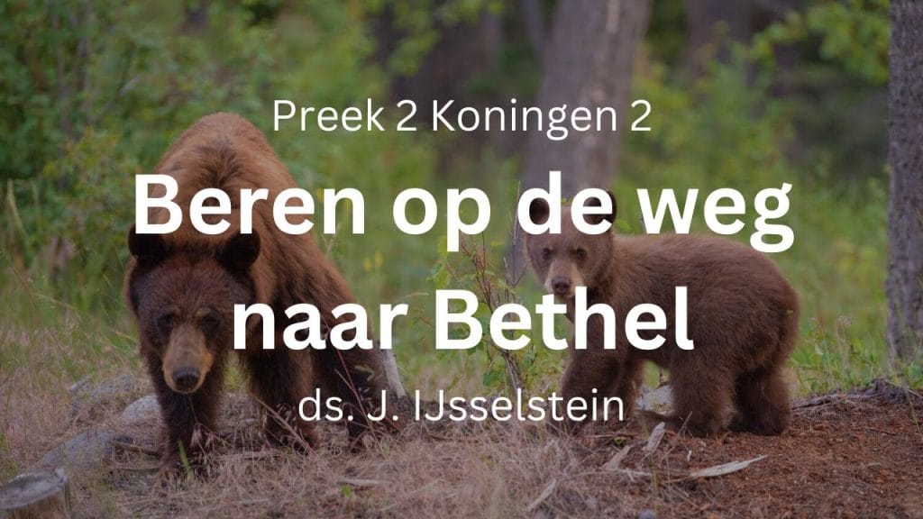 Twee beren doden tweeënveertig kinderen (Elisa II) – 2 Koningen 2