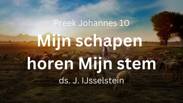 Mijn schapen horen Mijn stem – Johannes 10