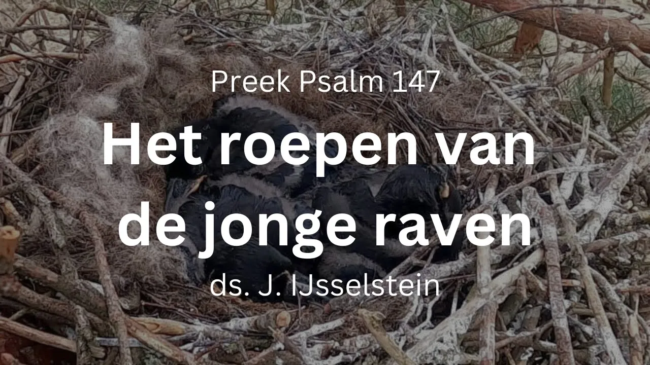 preek psalm 147 geroep jonge raven