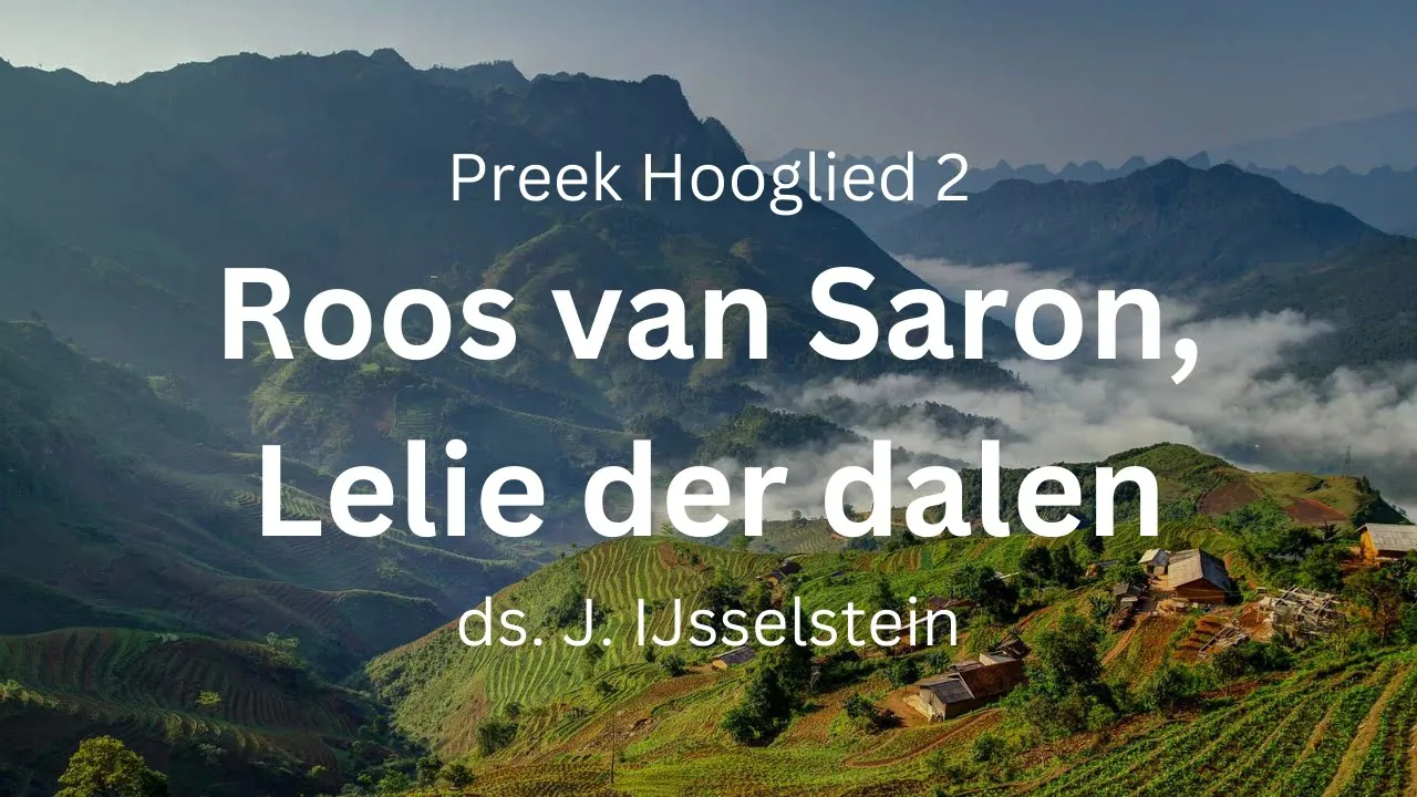 Roos van Saron, Lelie der dalen – Hooglied 2