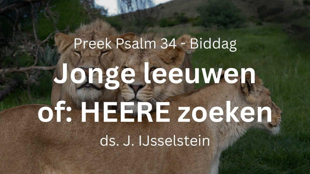 Jonge leeuwen of de Heere zoeken – Psalm 34