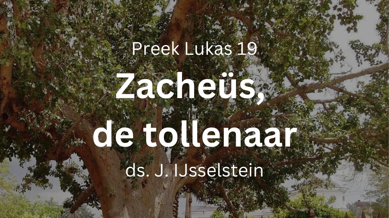 zacheus de tollenaar