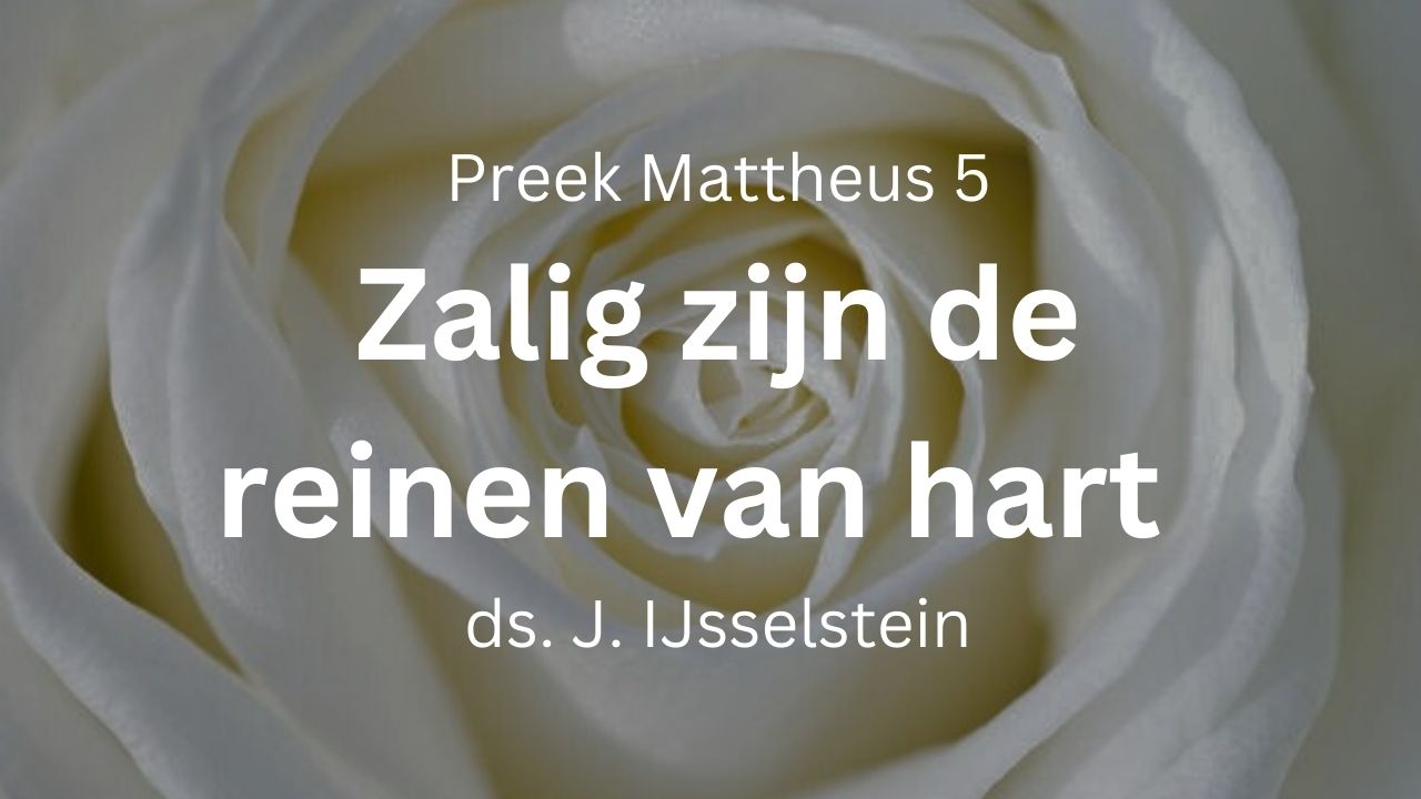 zalig zijn de reinen van hart