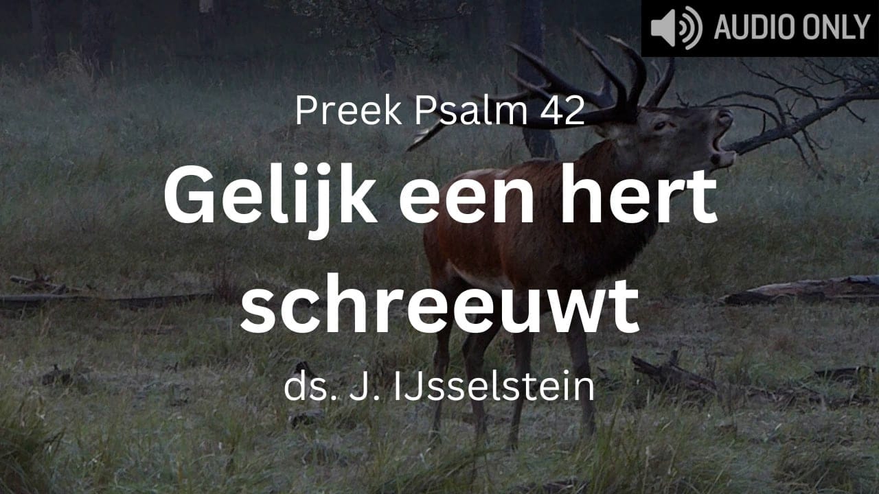 Preek over: Gelijk een hert schreeuwt naar de waterstromen Psalm 42:2-3: Gelijk een hert schreeuwt naar de waterstromen