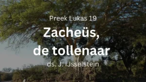 preek Zacheüs, de tollenaar - Lukas 19