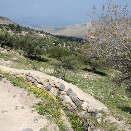 bezetene gadara