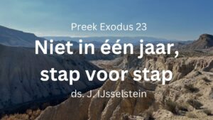 preek Niet in één jaar maar stap voor stap