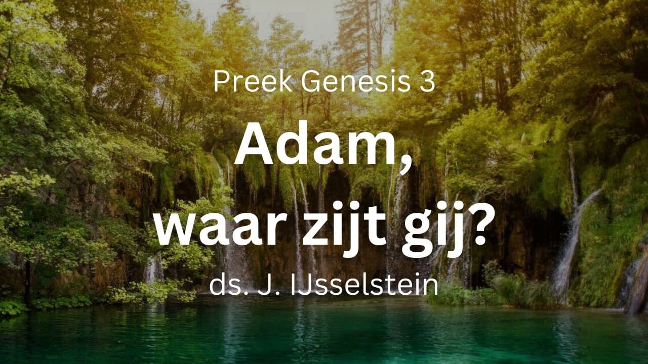 Preek: Adam, waar zijt gij?
