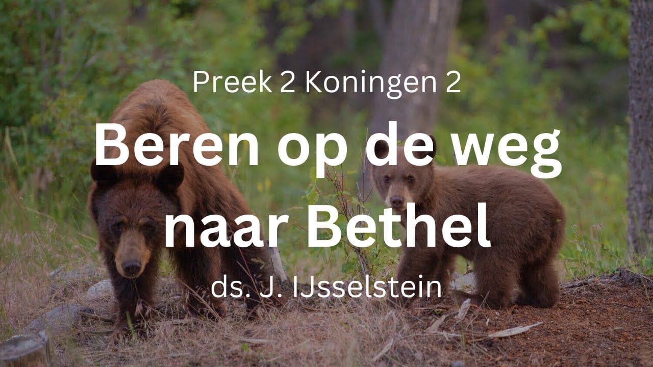 preek beren 42 kinderen bethel