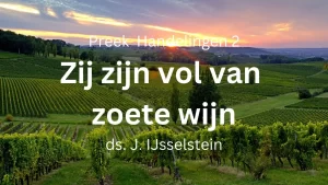 Vol zoete wijn - Handelingen 2