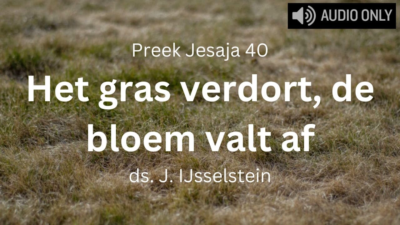 preek jesaja 40 alle vlees is gras