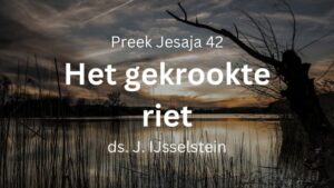 Gekrookte riet