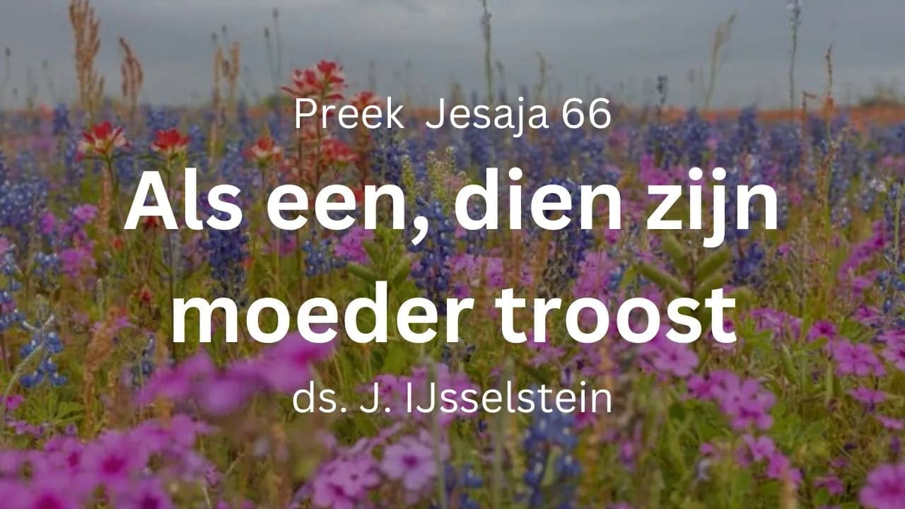 preek jesaja 66 Als een die zijn moeder troost