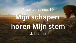 preek johannes 10 mijn schapen horen mijn stem