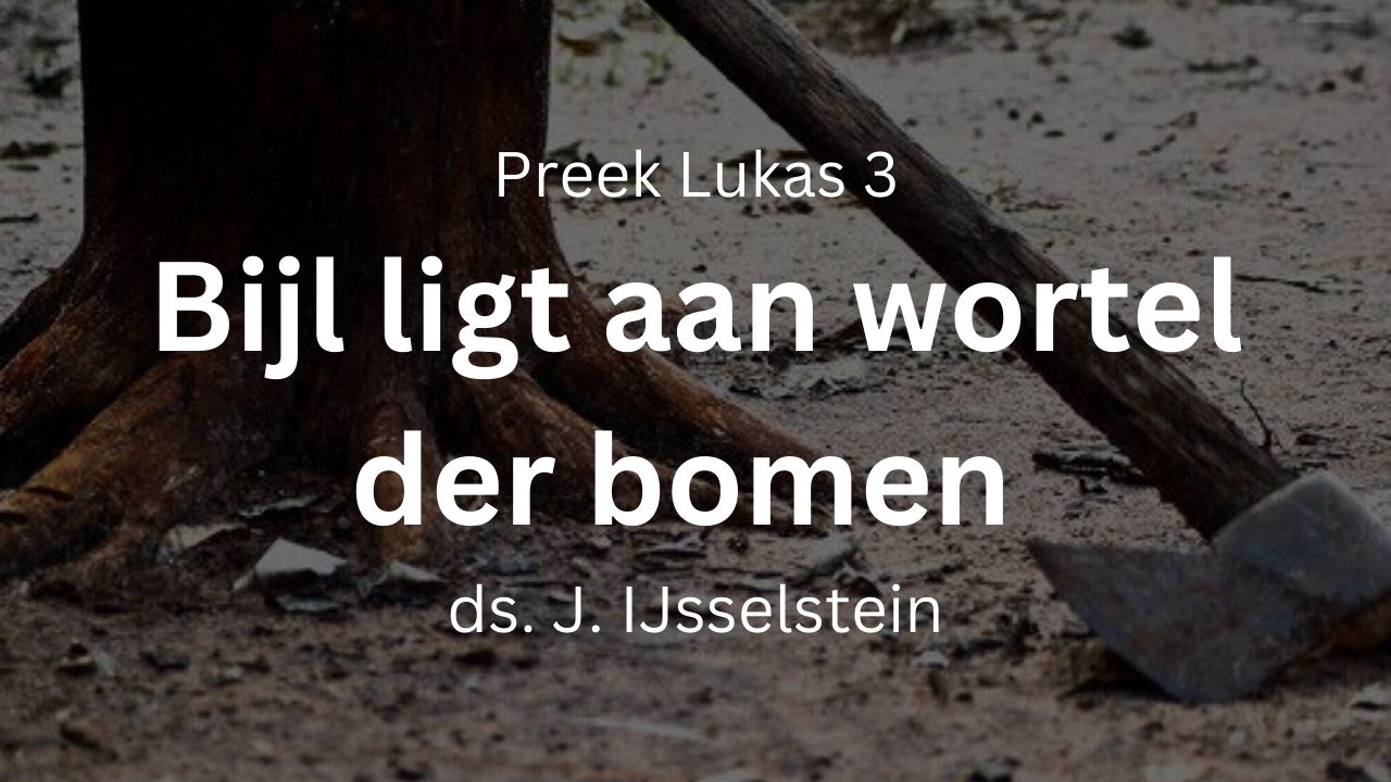 preek johannes doper bijl ligt wortel bomen addergebroed