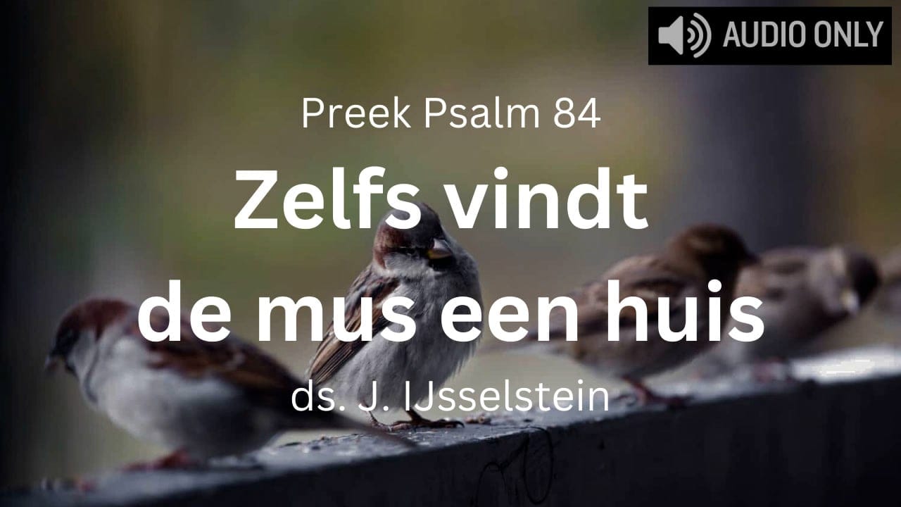 preek psalm 84 de mus een huis de zwaluw een nest