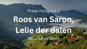 Hooglied 2: Roos van Saron, Lelie der dalen