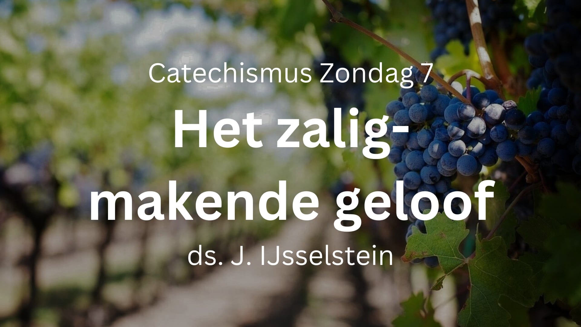 preek zondag 7
