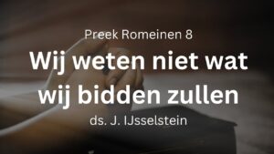 onze zwakheden te hulp